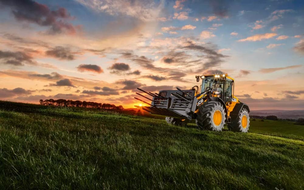JCB 419S